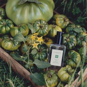 Jo Malone London Tomato Leaf Hand Wash 250ml